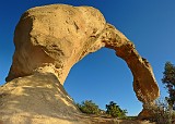 USA cox arch.jpg